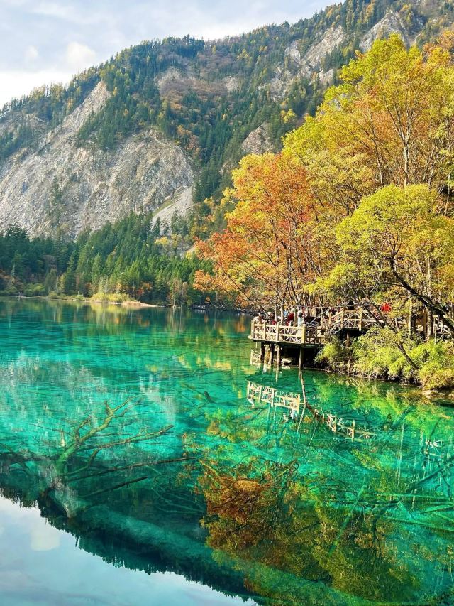 九寨沟碧蓝湖水与秋日彩林