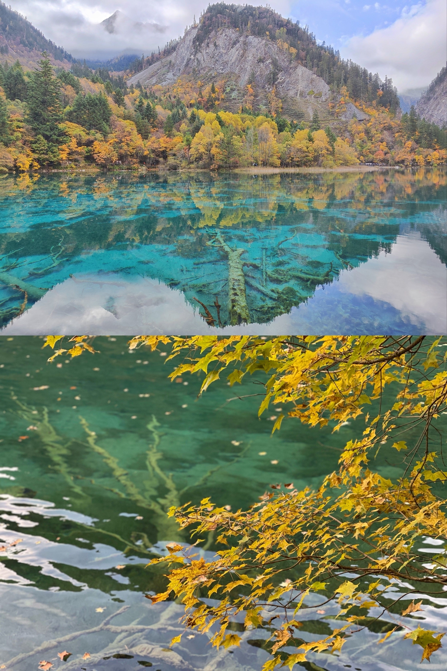 九寨沟五花海秋色倒影